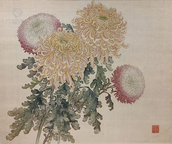 菊花入画,尽显神韵"画菊专家"带你提前领略深秋之美_缪谷瑛