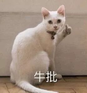 d688574c01bd4b95b27828956dd09b33.jpeg