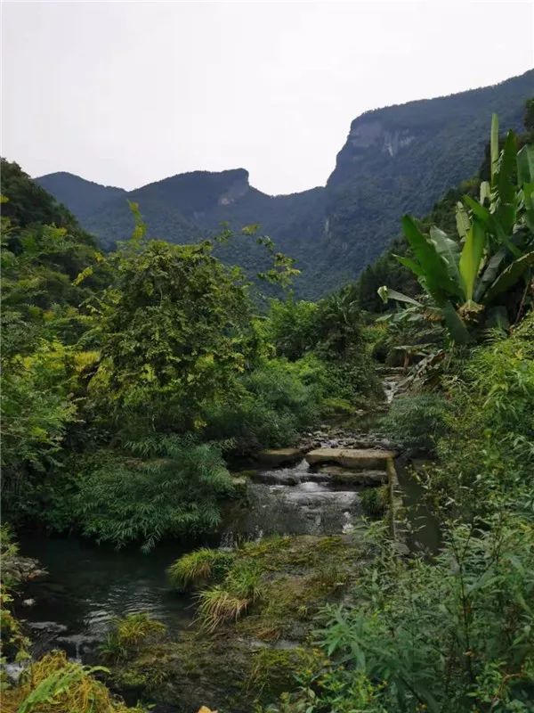 穿越怀化沅陵借母溪:一山两县的稻谷香_九龙村