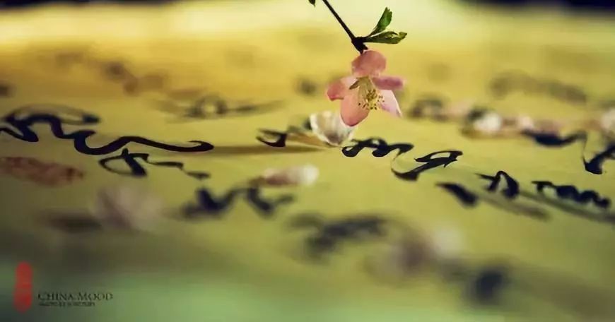 怎么才能让自己不那么在意 df72d8b1057742e28d0da8fbe2112493.jpeg