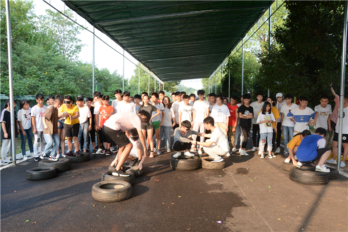 进行了|卓京教育团建丨同心同力 携手并进