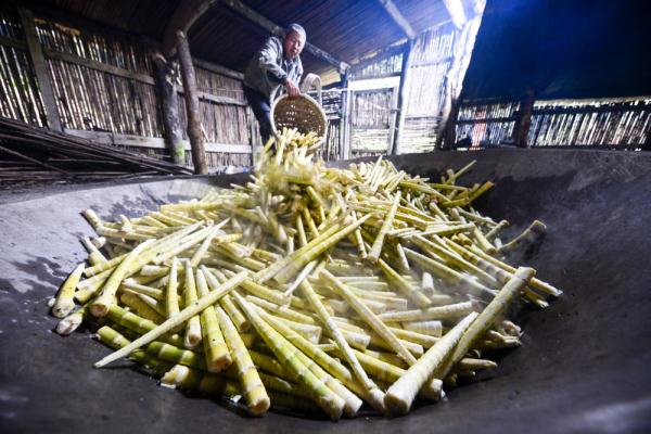 一家笋场工棚内,一名采笋人在将去壳的新鲜方竹笋倒进煮笋用的大锅中