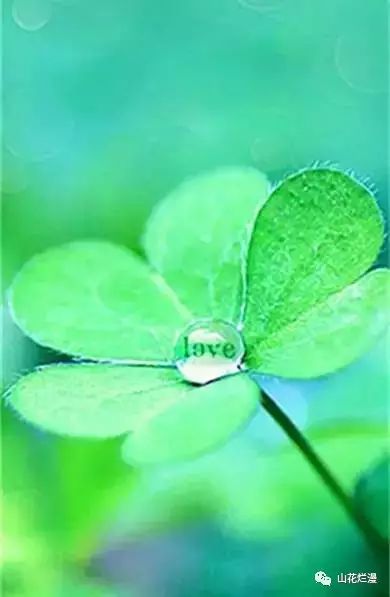 快乐的七个好习惯(精辟!)