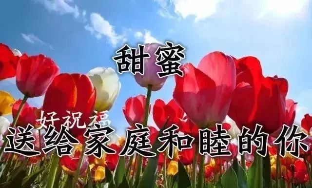 一生最美的祝福简谱_这一生最美的祝福简谱(3)