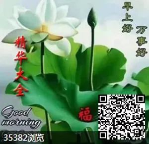 fc4a95da9a154ac8b4f845abfd1fa28c.jpeg