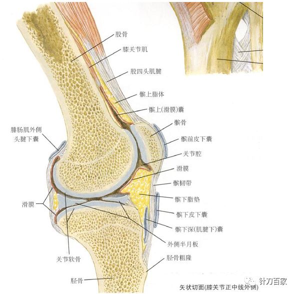 膝关节类风湿性关节炎针刀治疗