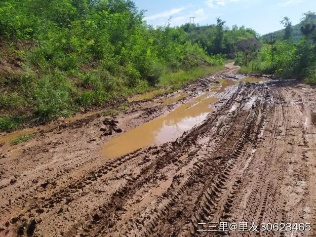 关于商州腰市郭村乡村道路泥泞难行村民盼硬化问题办理情况