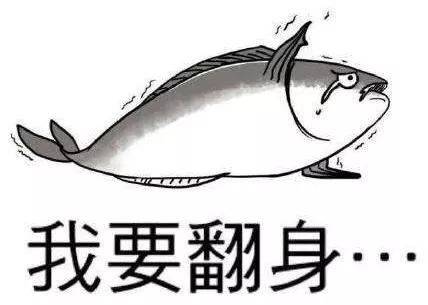 04786284f60c4cf29f0fe2e67ebbf6d4.JPG
