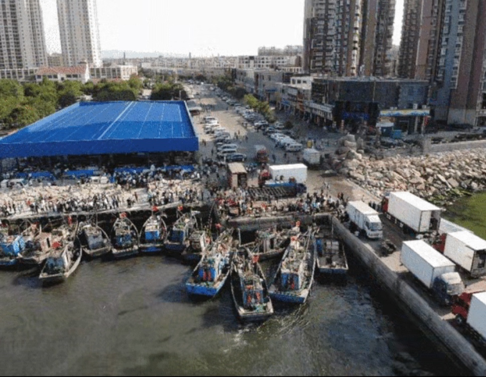 黄渤海地区迎“开渔”海鲜收获量和价格尚未达到“最高”