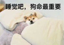 05f4b3fb4b6d4e9fa56666c8d4cc3fd5.jpeg