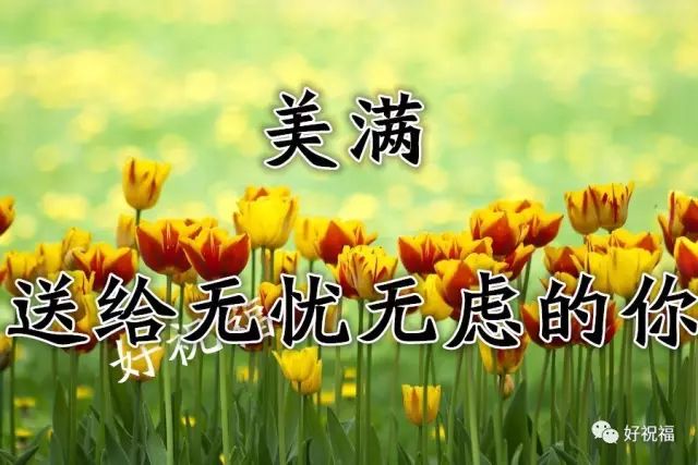 0c03eec007cb4179a6cbd05e453657b0.jpeg
