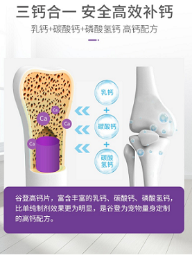 补钙怎么补最快 0e10e34a2ed84d14a8217b9da284787e.png