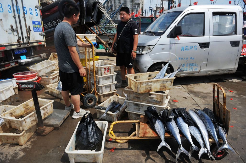 大渔船归来鱼满仓 码头海鲜堆不下 市民一买一鱼框