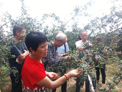 周家河村人口_高陵周家村生态
