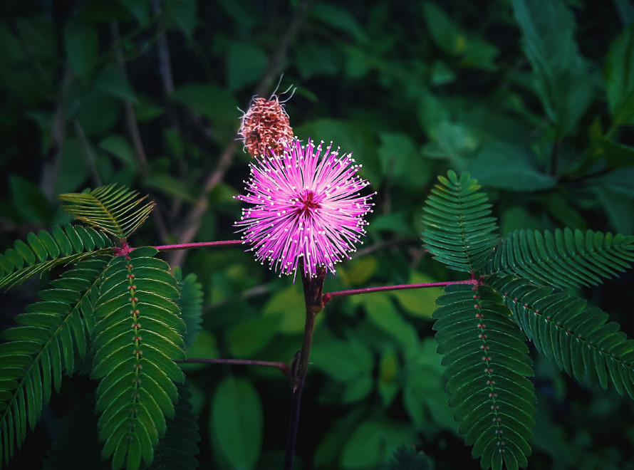 9月份,辛苦付出却得不到回报,最后选择果断放