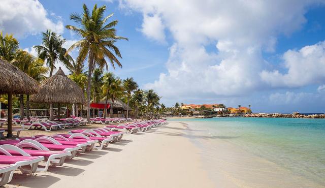 HL荷兰护照快速办理、快速入籍、详解荷兰王