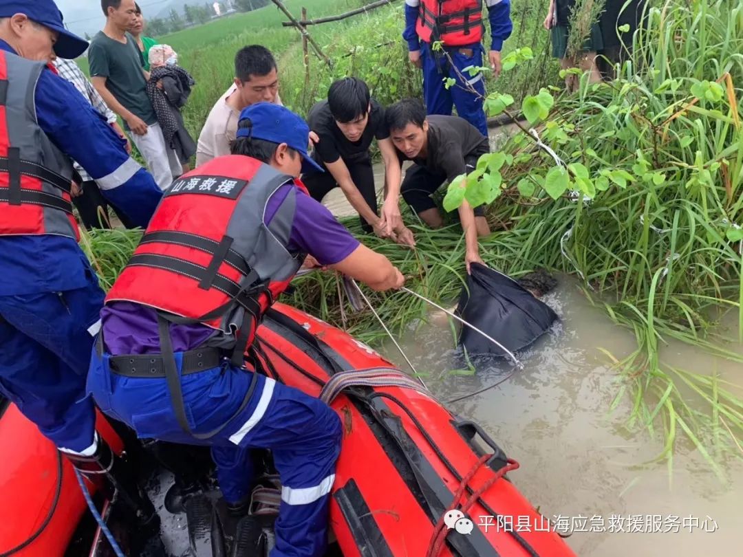 平阳一老人被水冲走身亡_麻步镇