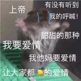 1b88a3edb58442d98614e353e34be2cc.JPG