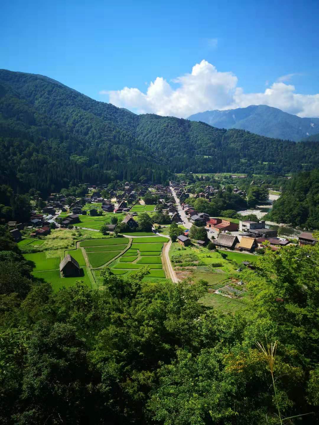 有没有日本乡村小镇可以推荐旅游的啊？ - 知乎