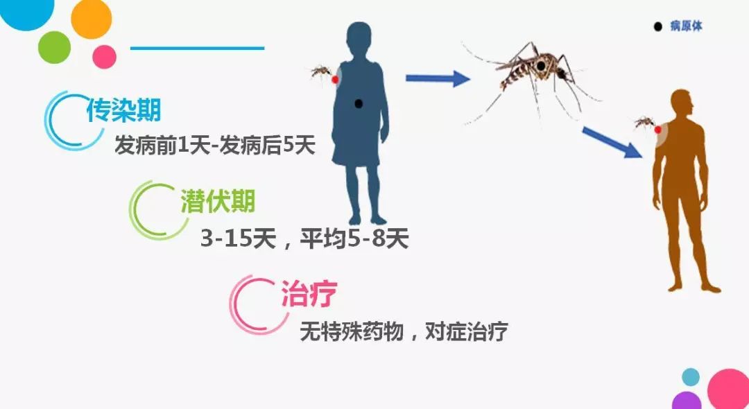 登革热的传播途径