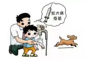 人得了狂犬病会有哪些征兆出现 2181d8c7a4d04079807f385d8aa24027.jpeg