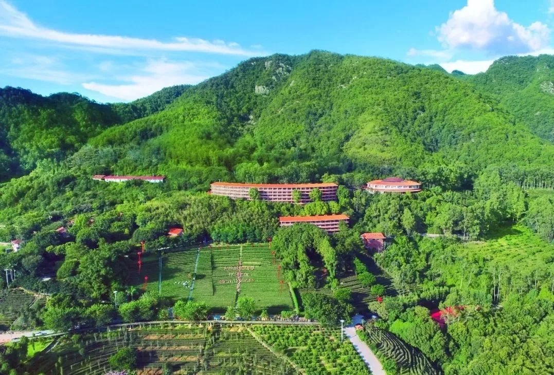 60岁以上老人免费游雁南飞,桥溪古韵._景区