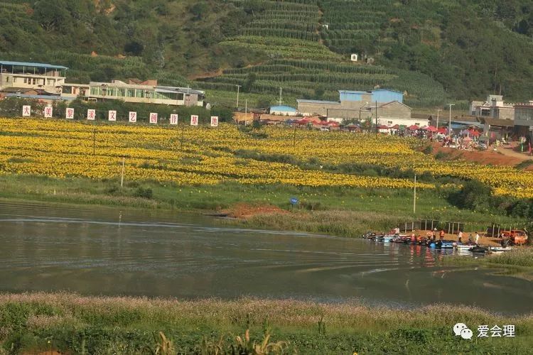 会理县黎溪镇古道花海风情游