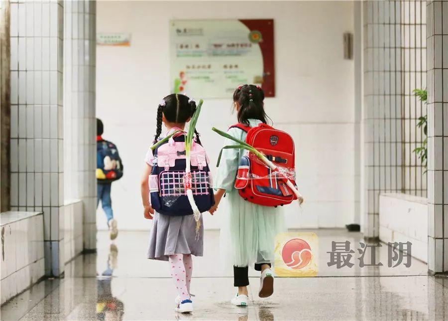 开学啦！小学生背着葱出现在校门口…网友：沉甸甸都是期望和爱