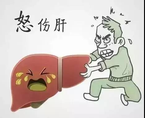355259868bfc44e693e8c89b9cff3648.jpeg