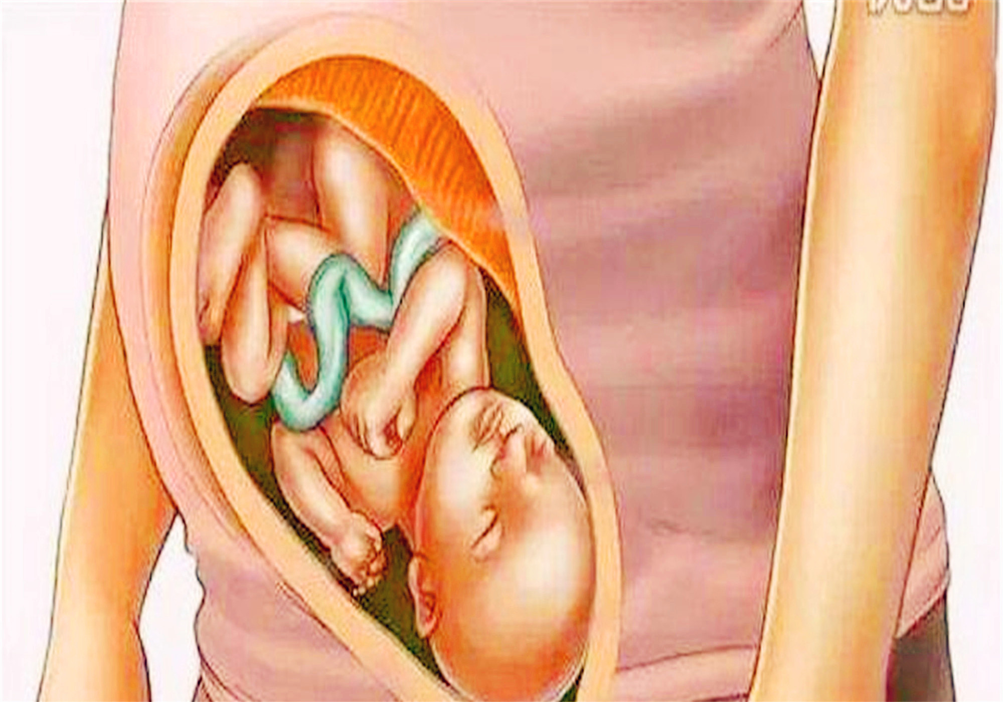 原创十张图带你看懂胎儿发育成型全过程孕妈们挺不容易的都该看看