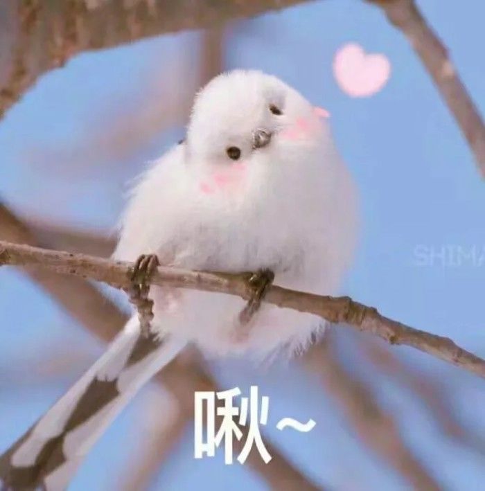 鱼虎头云一猜成语_看图猜成语(3)