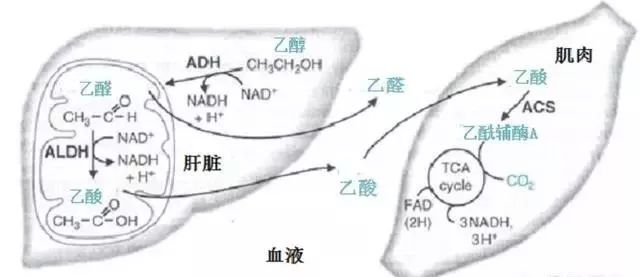 3935c1634d314cbb97d1ea08a1ec853e.jpeg