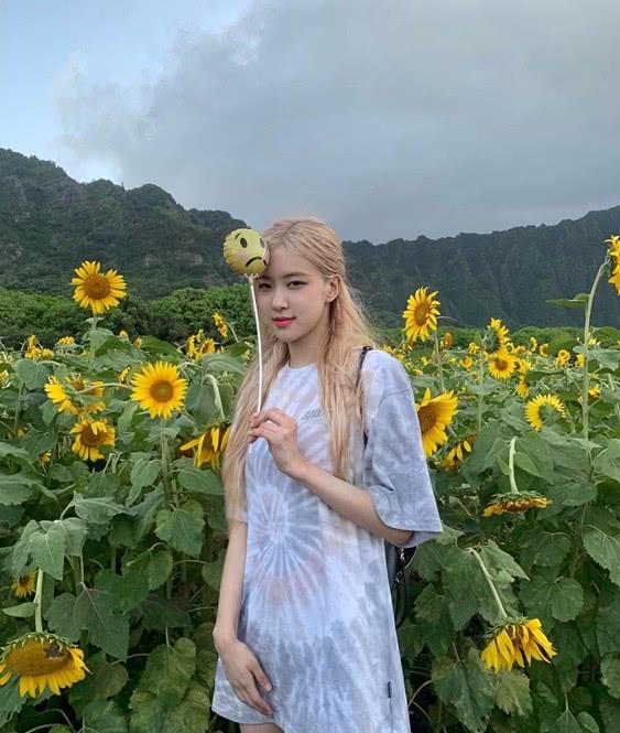 控诉blackpink资源分配不公,粉丝推特声援rosé