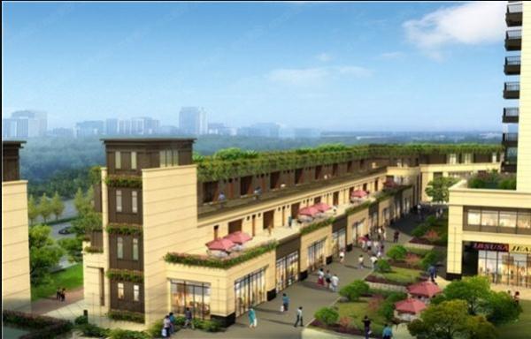 2020年江苏盐城大丰g_江苏盐城大丰荷兰花海(2)