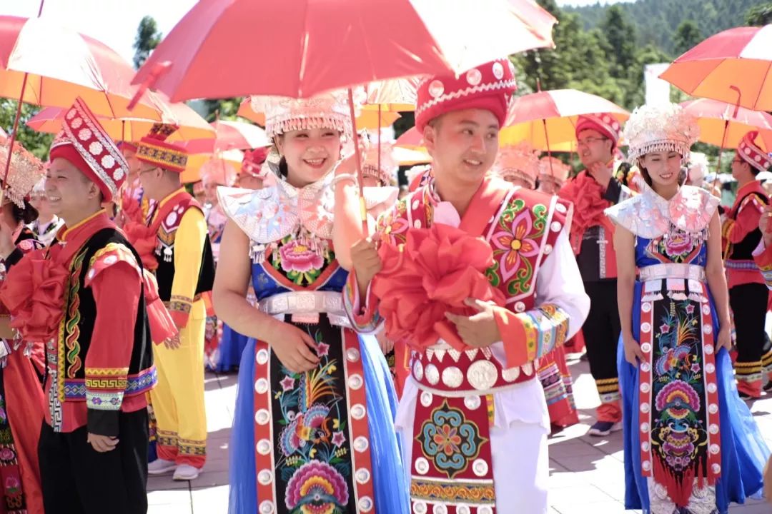 重庆少数民族人口最多_少数民族流动人口输出(3)