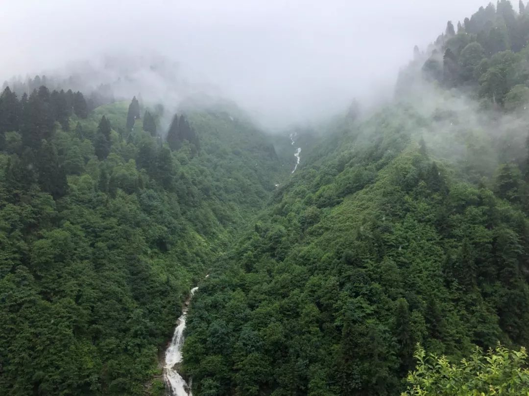 斜什么细雨成语_牛毛细雨成语
