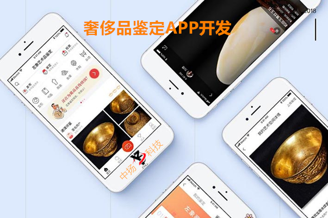 奢侈品鉴定APP开发应具备哪些基本功能?