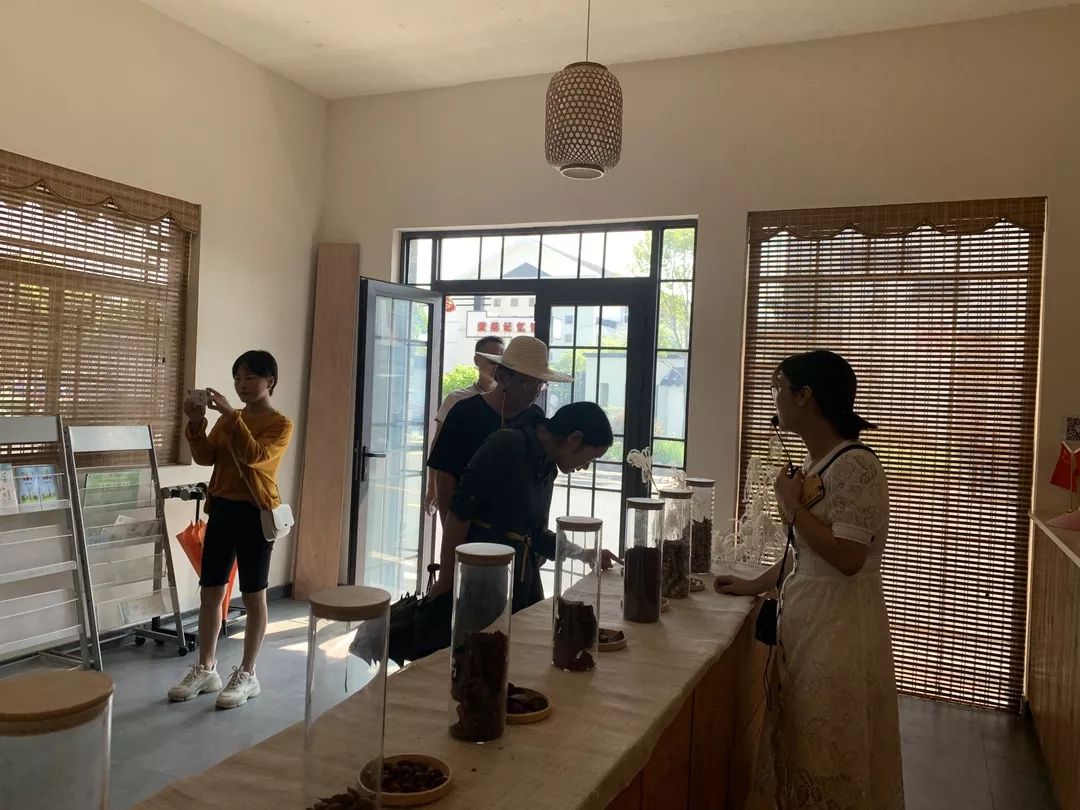 蚕乡云龙半月速览_周王庙镇