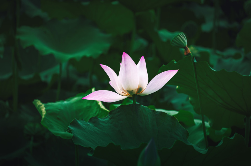 9月份,辛苦付出却得不到回报,最后选择果断放