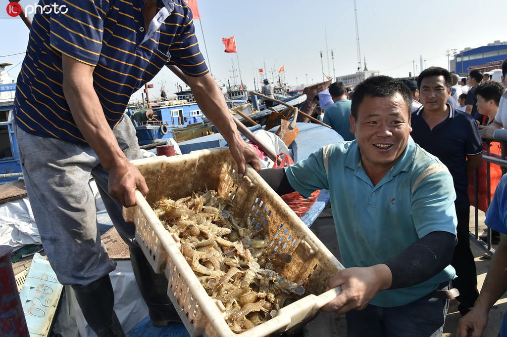 渤海开海后头批海货未下船就卖空