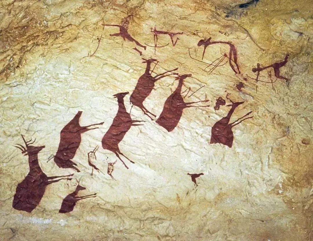 人类最早的生殖崇拜-国宝彩陶艺术-图片