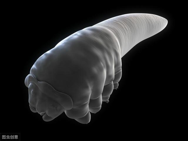 女白领眼睛总感觉有异物,进医院检查,被告知眼