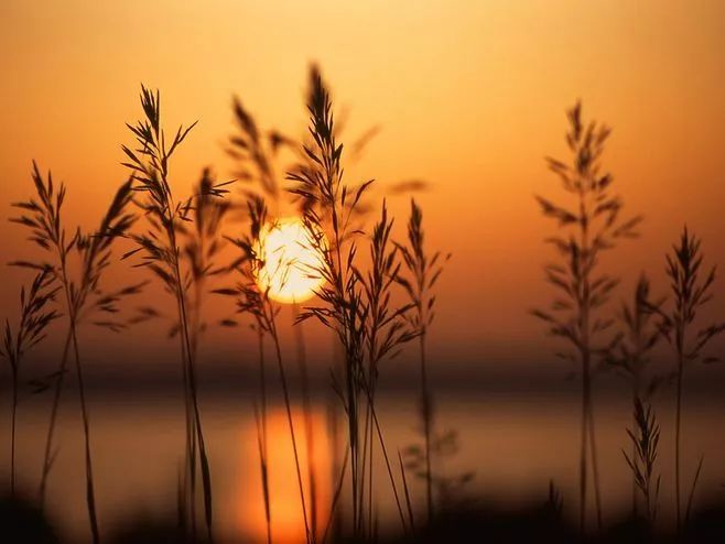 浪漫夕阳歌词简谱_浪漫夕阳简谱