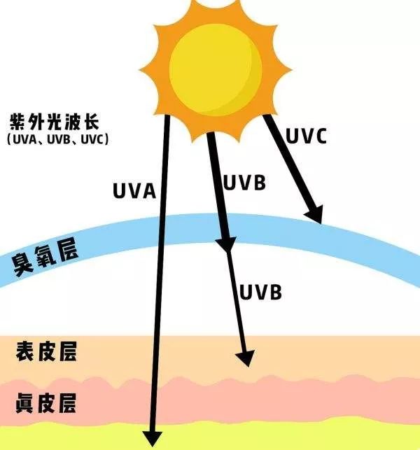 uva又叫黑斑紫外线,是让我们变黑的根源.