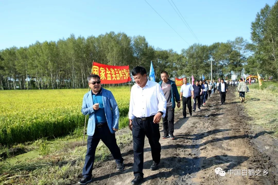 白鹤乡人口_苍溪县白鹤乡柏荫村