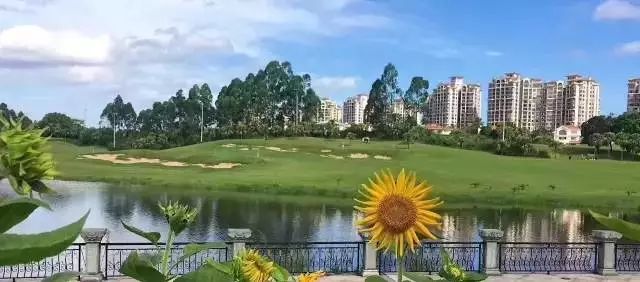 花都碧桂园假日半岛酒店一口价¥599=住五星+丰富早餐+周末自助海鲜晚餐+中秋丰富活动~吃喝玩乐一站享~