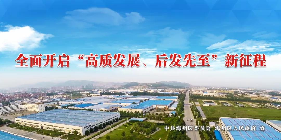 浦南镇gdp_海州区浦南镇徐飞