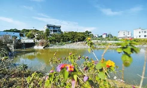 福清市人口有多少_福建自贸区周年考 新增市场主体2.6万 对台效应初显