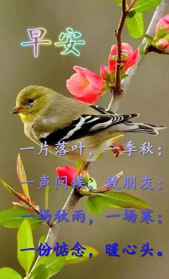八月初四早上好问候语精美句子 早上好图片表情大全