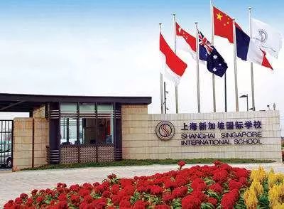 运动|名校分享| 上海新加坡国际学校“美”运动场地